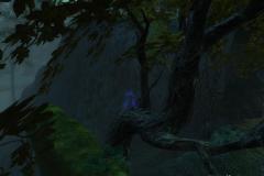 RIFT - PvP