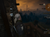 witcher3 2015-05-30 18-12-08-14