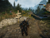 witcher3 2015-06-01 20-20-51-37