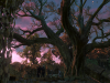 witcher3 2015-06-02 14-58-37-56