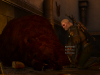 witcher3 2015-06-04 17-43-40-07
