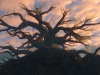 witcher3 2015-06-07 10-34-41-87