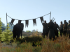 witcher3 2015-06-07 11-01-33-01