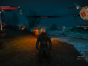witcher3 2015-06-07 12-26-46-20