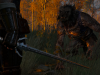 witcher3 2015-06-07 19-54-15-27