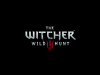 witcher3 2015-06-07 20-08-22-89