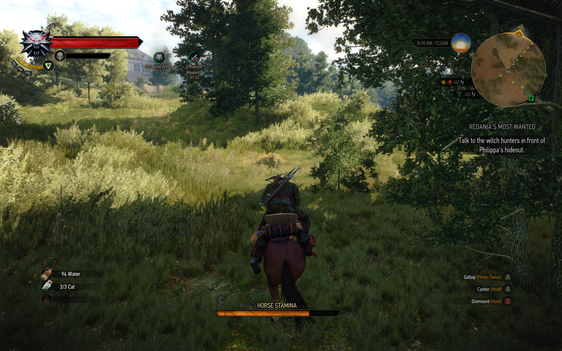 witcher3 2015-05-28 18-44-37-80