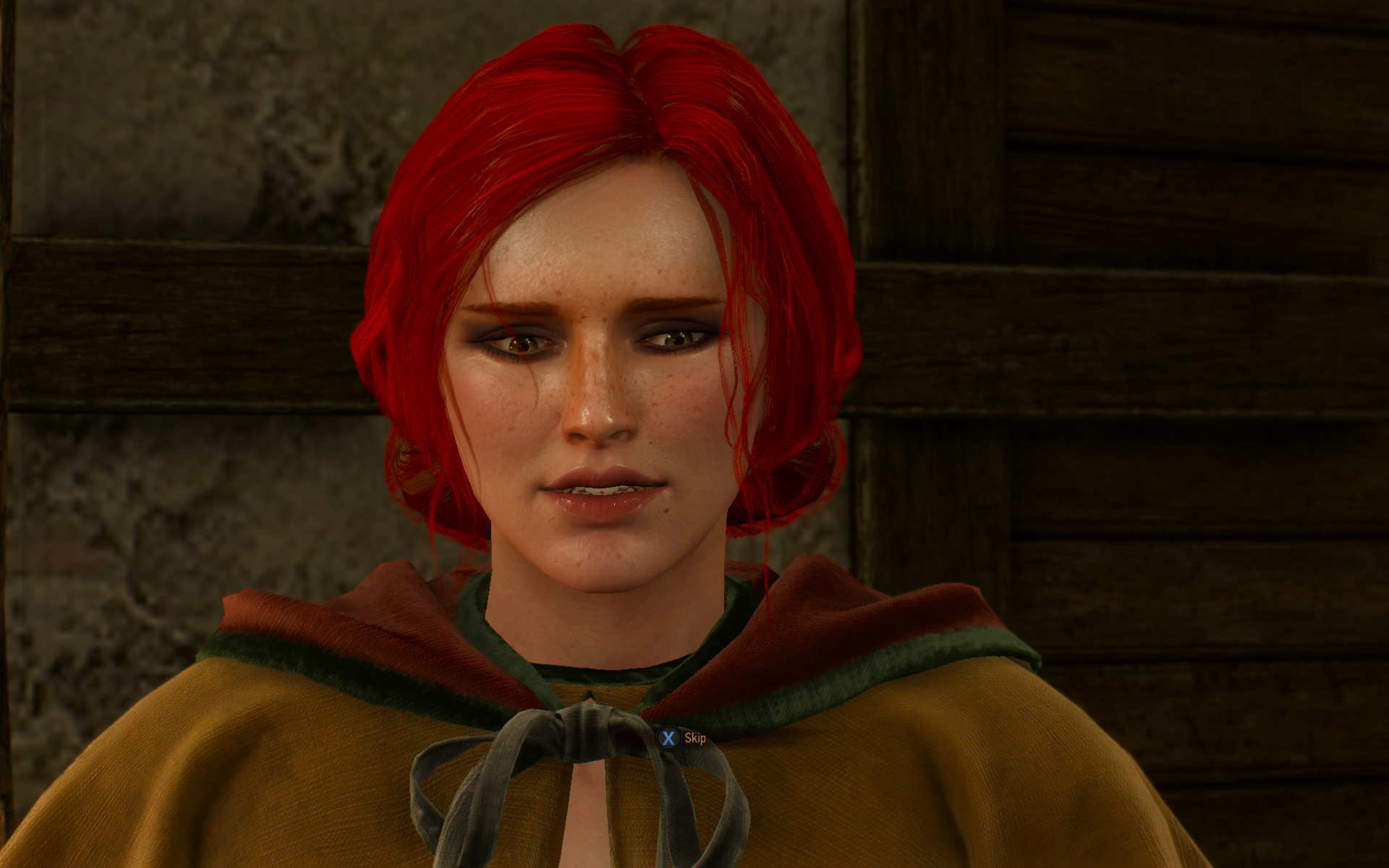 witcher3 2015-05-28 20-39-03-08