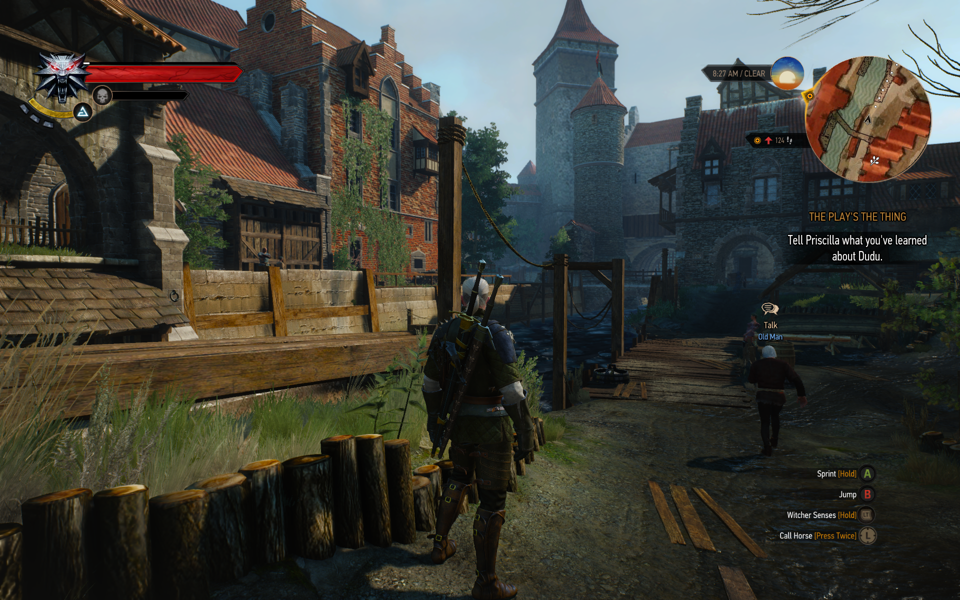 witcher3 2015-05-29 11-01-51-76