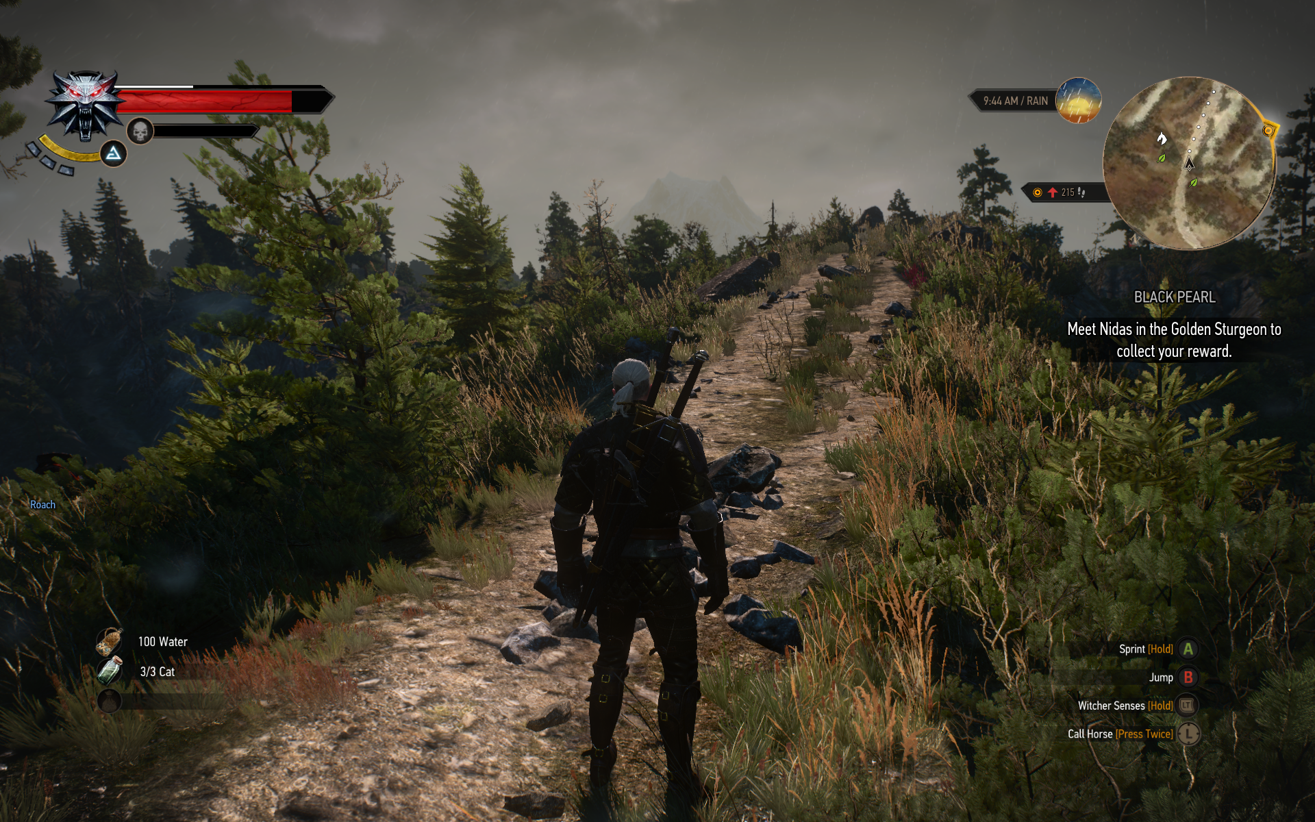 witcher3 2015-05-30 17-38-25-46