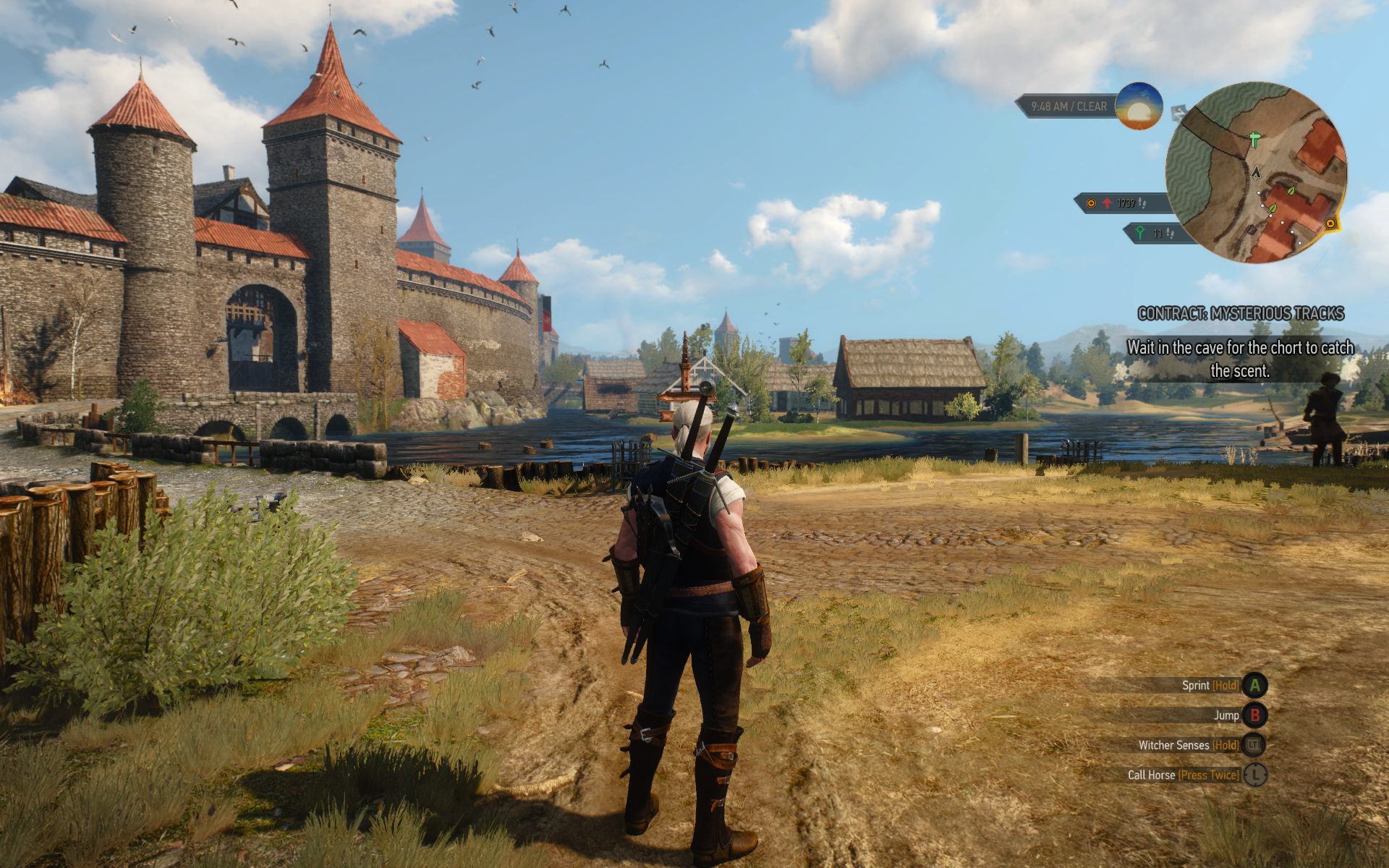 witcher3 2015-05-31 12-50-51-89