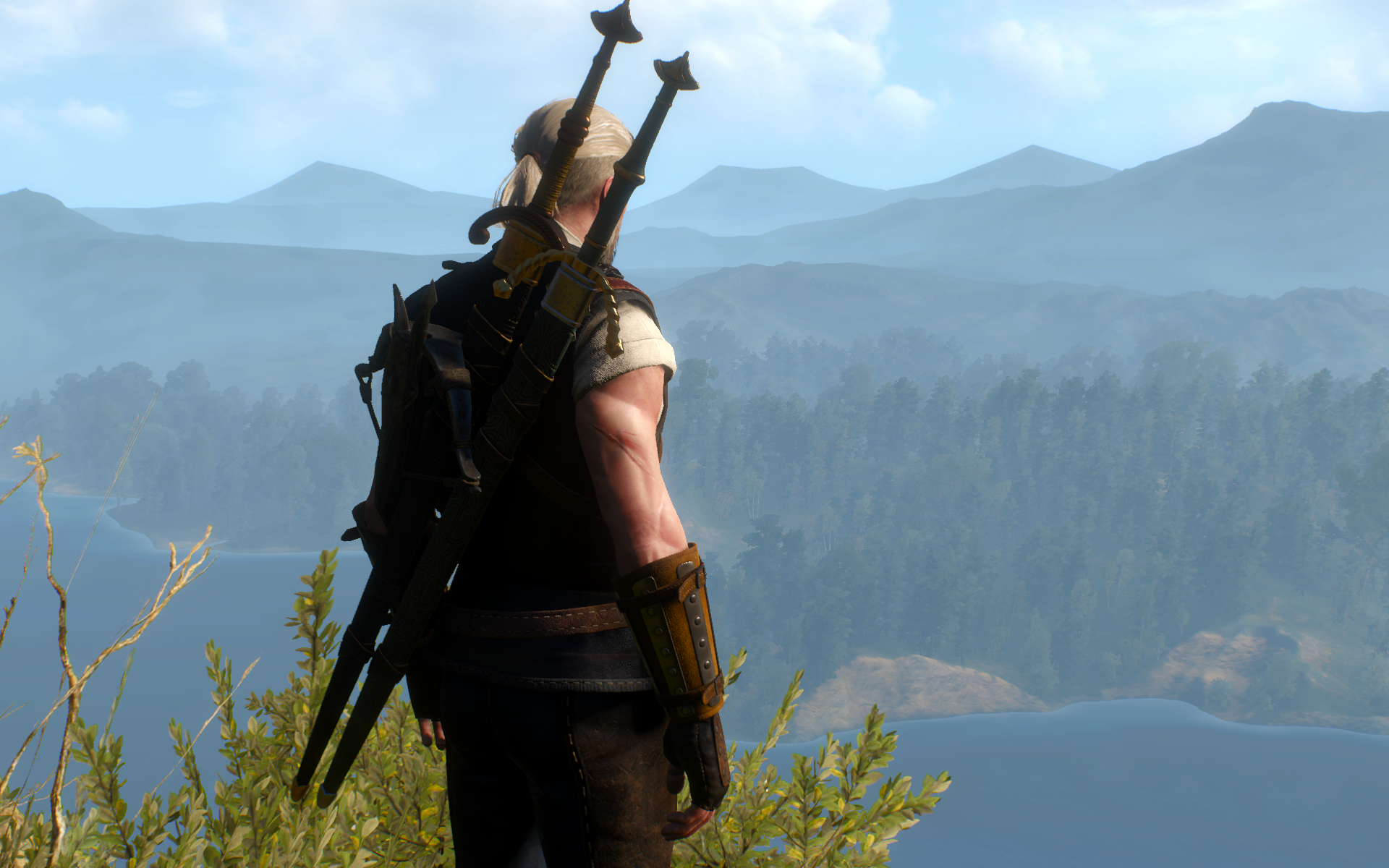 witcher3 2015-05-31 20-47-11-56
