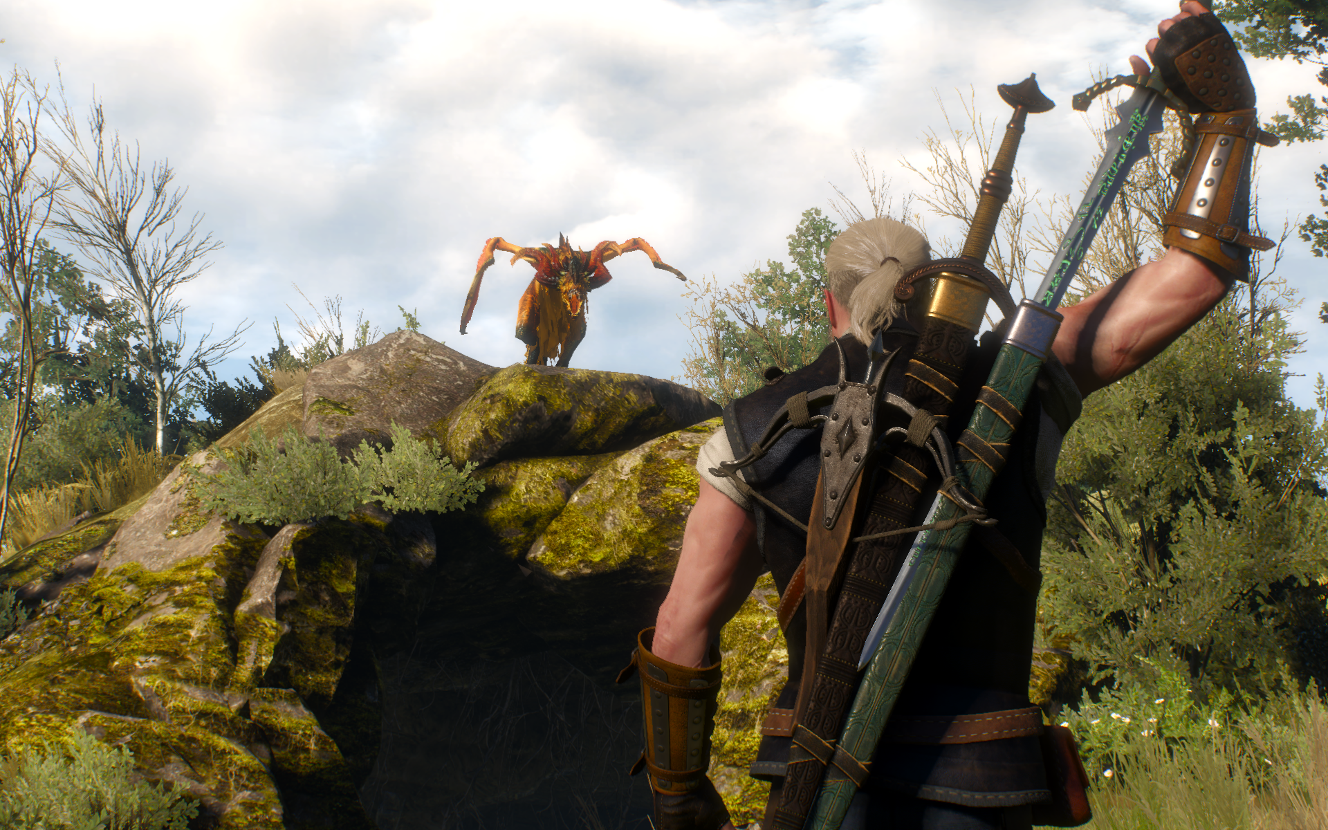 witcher3 2015-05-31 20-47-16-72