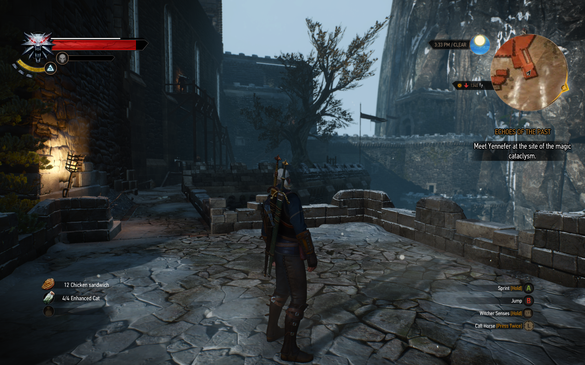 witcher3 2015-06-01 16-05-15-16