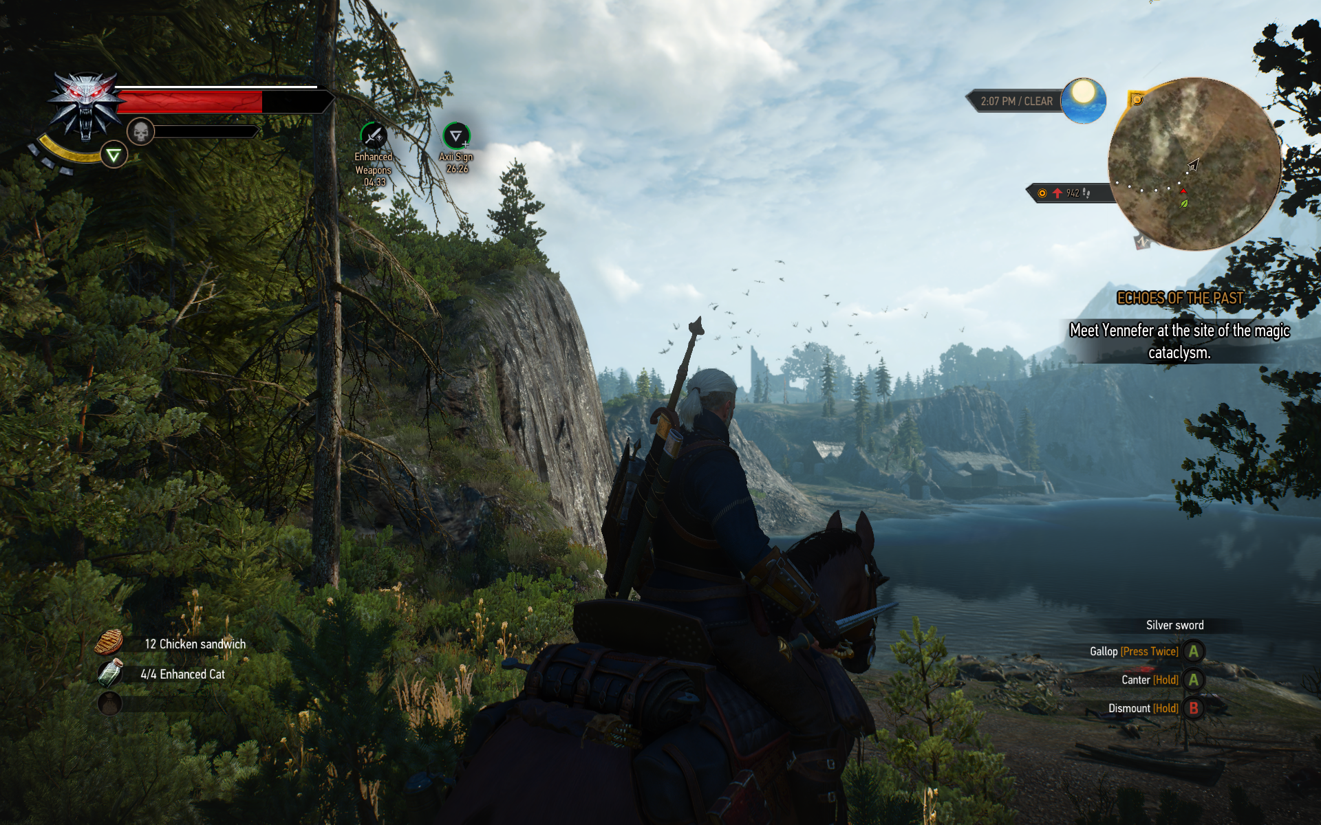 witcher3 2015-06-01 16-44-58-77
