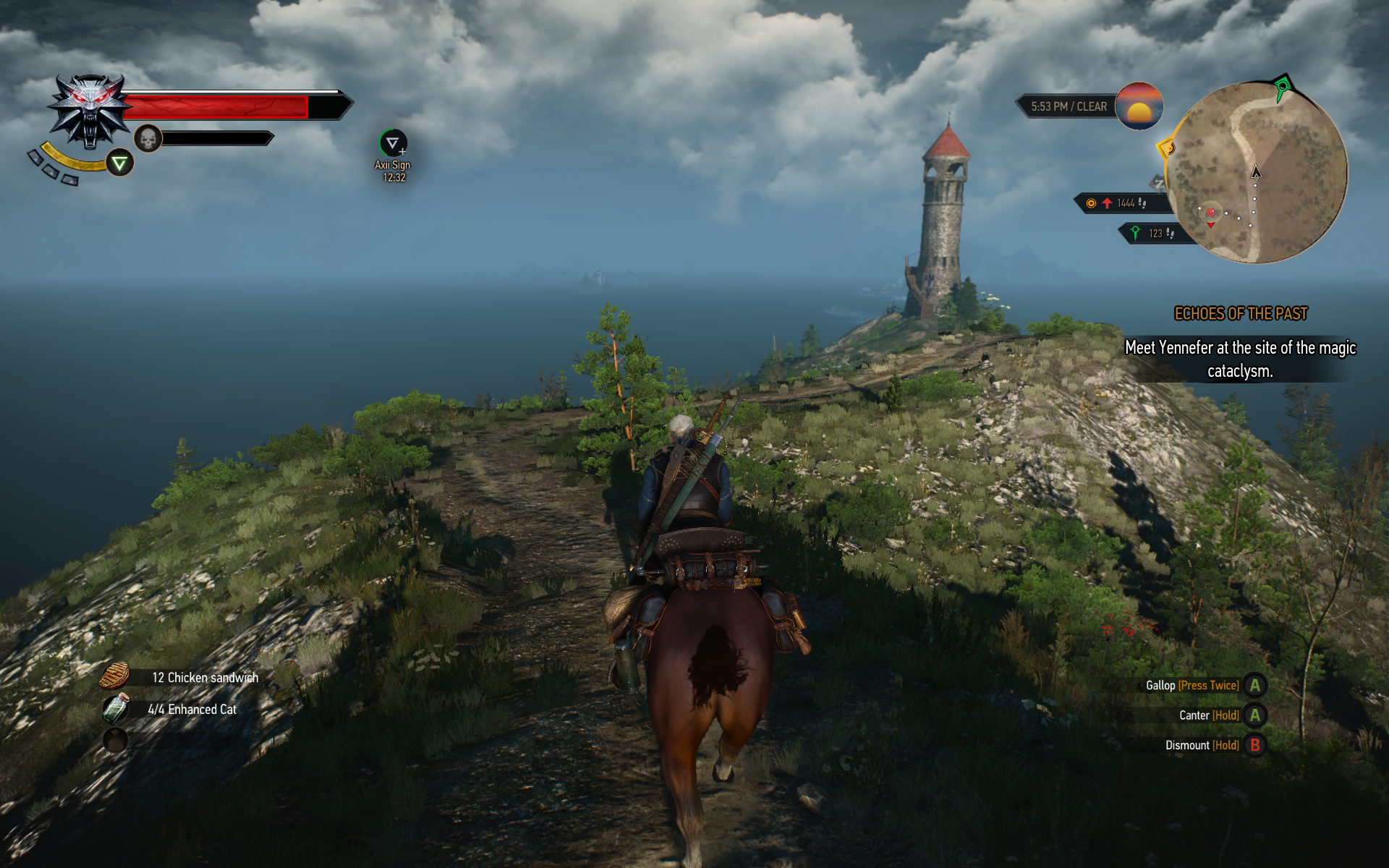 witcher3 2015-06-01 17-04-54-42