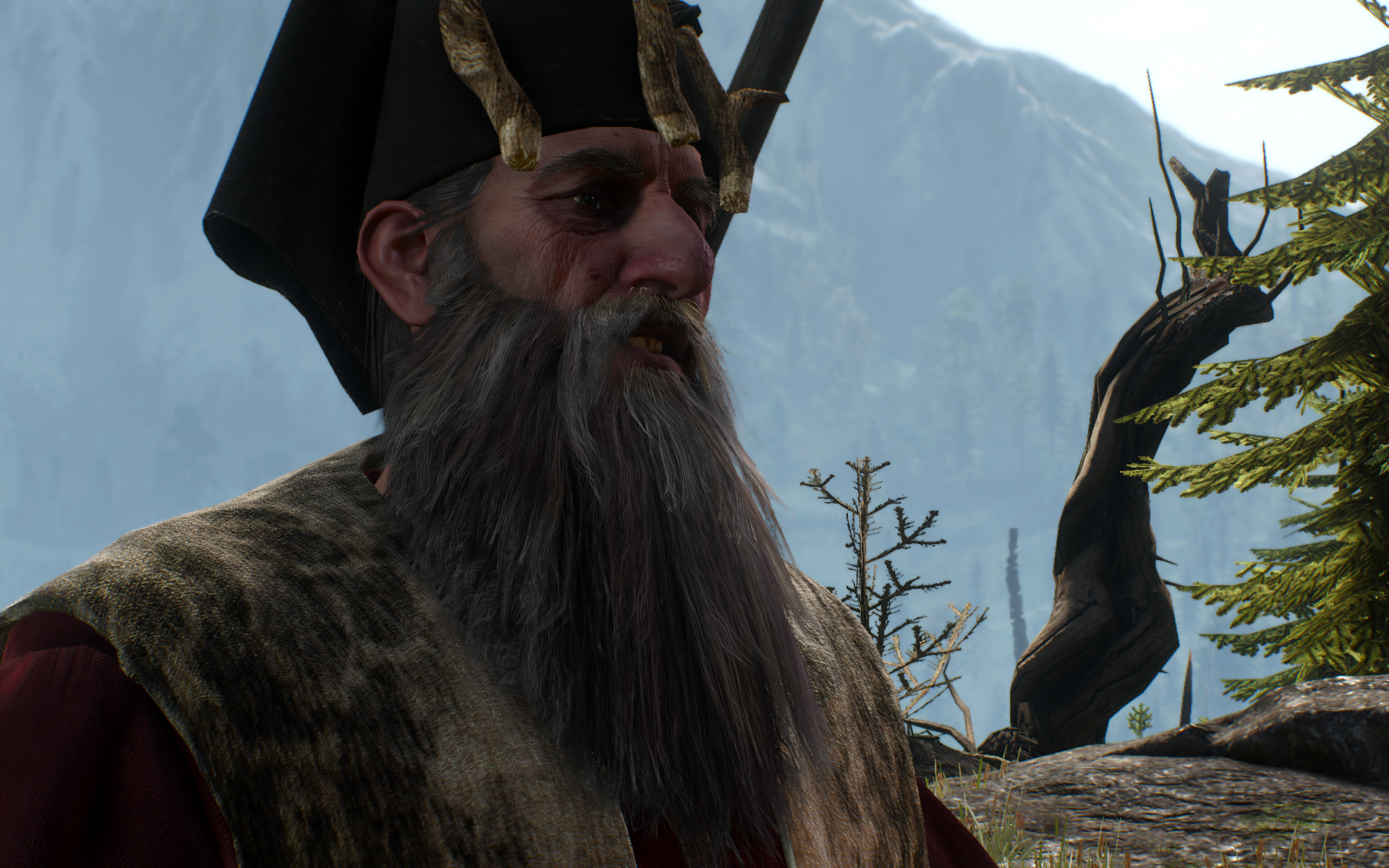 witcher3 2015-06-01 20-44-04-51