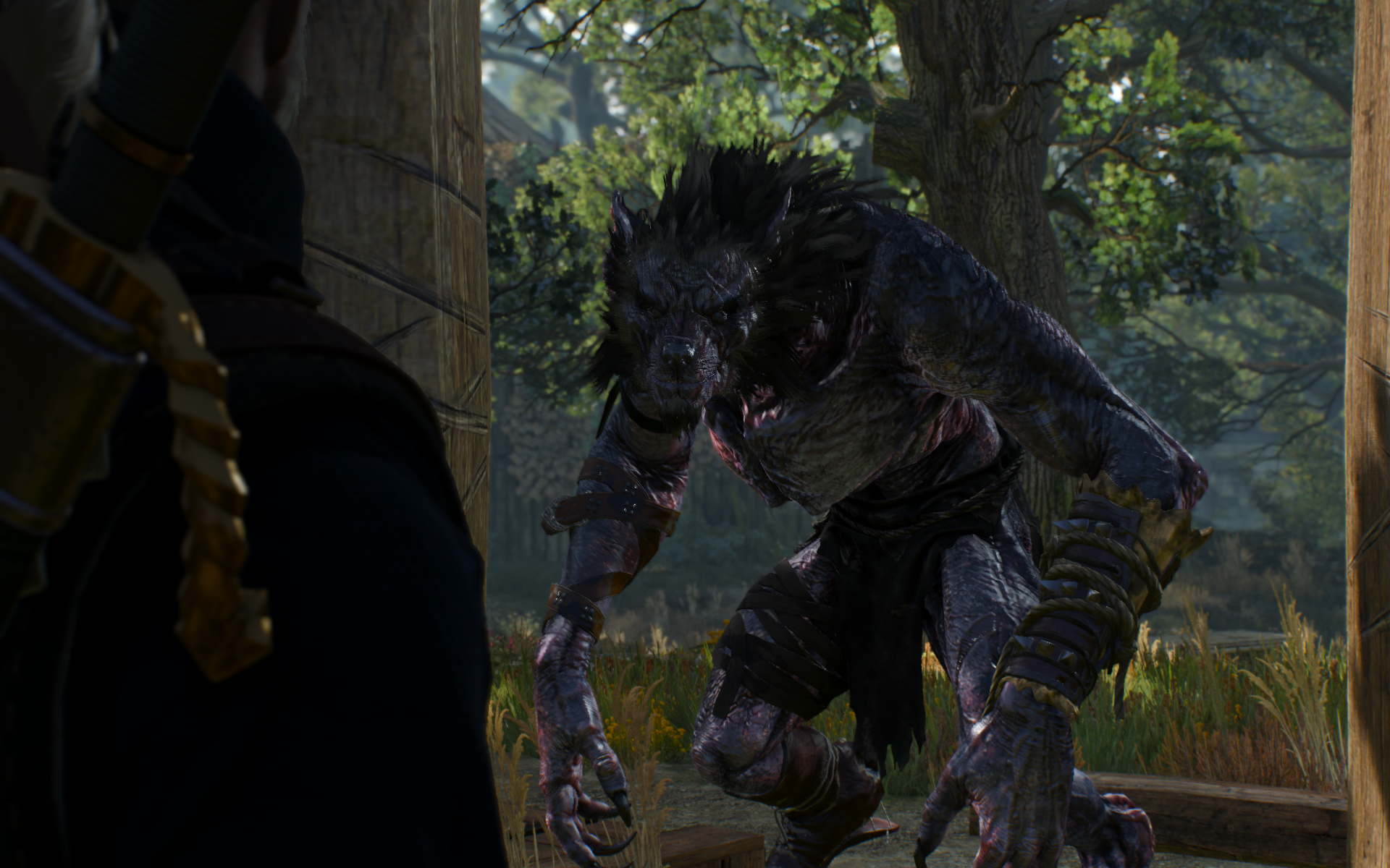 witcher3 2015-06-02 11-40-01-73