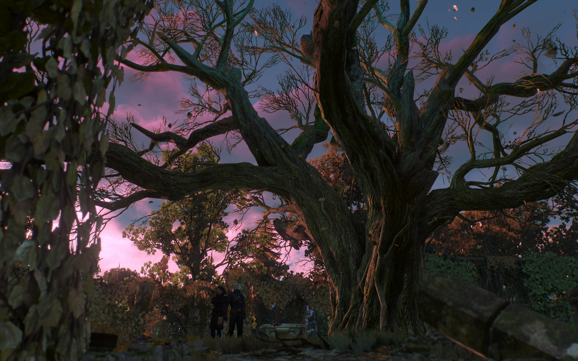 witcher3 2015-06-02 14-58-37-56