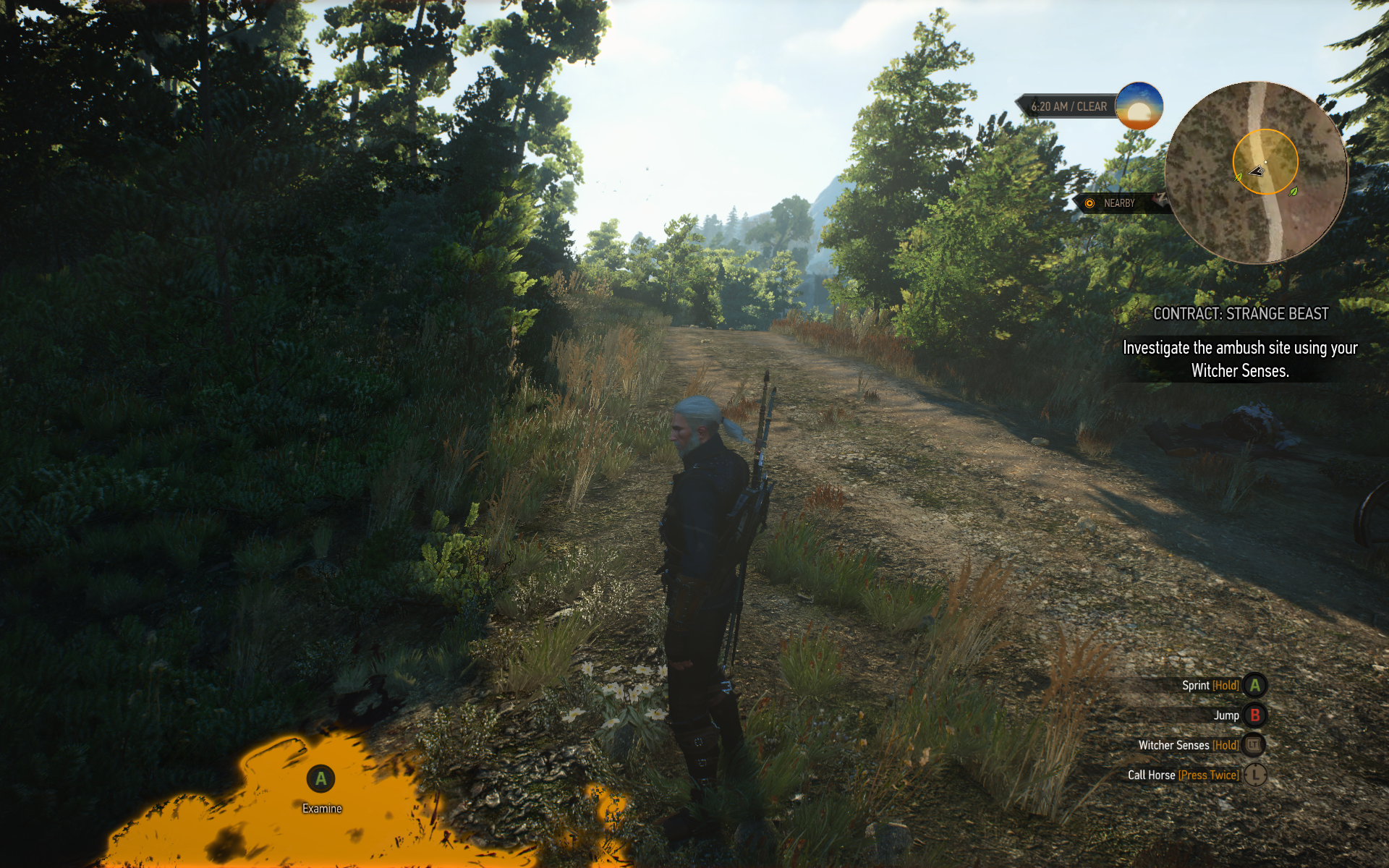 witcher3 2015-06-02 17-21-34-43