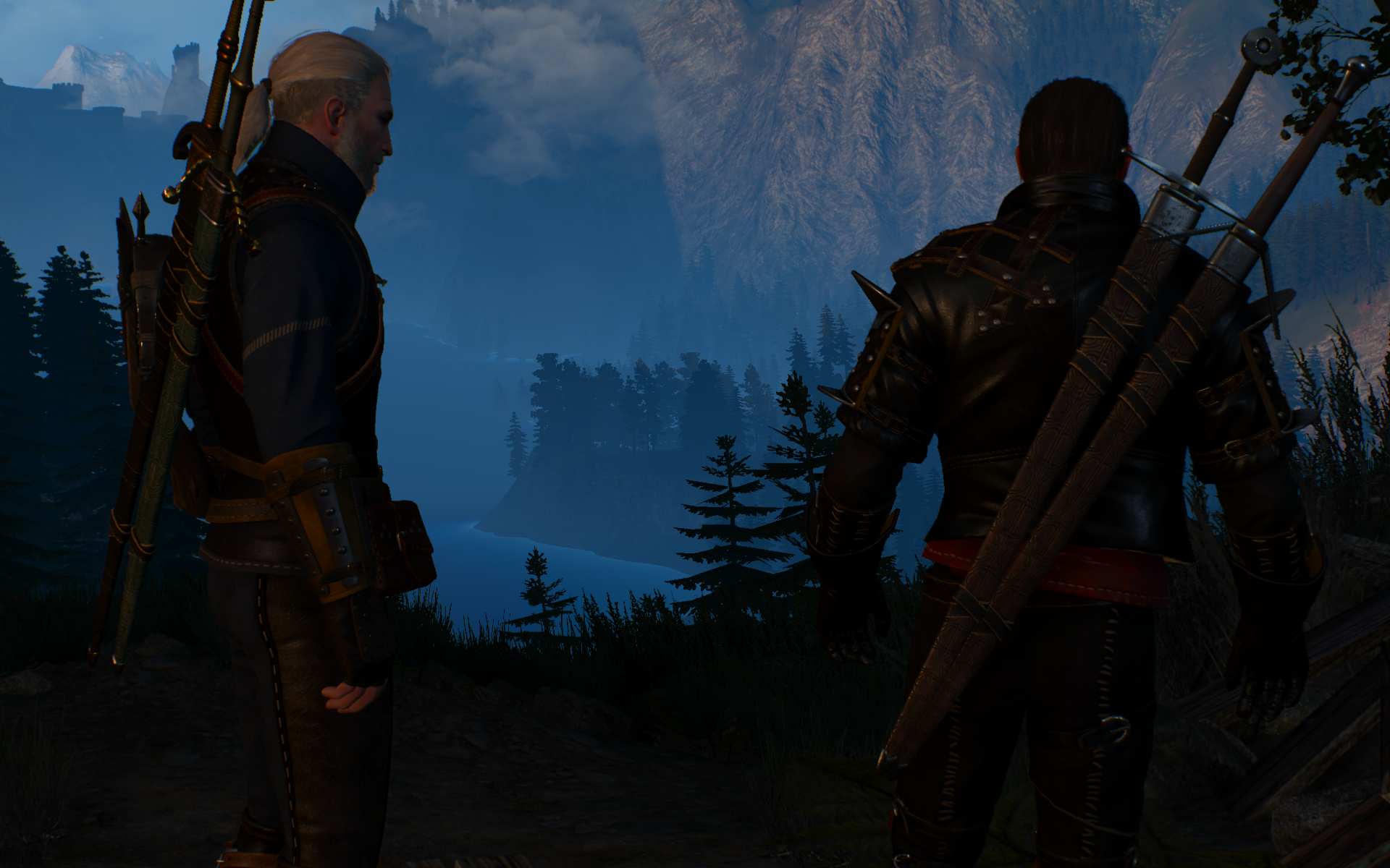 witcher3 2015-06-03 11-26-02-73