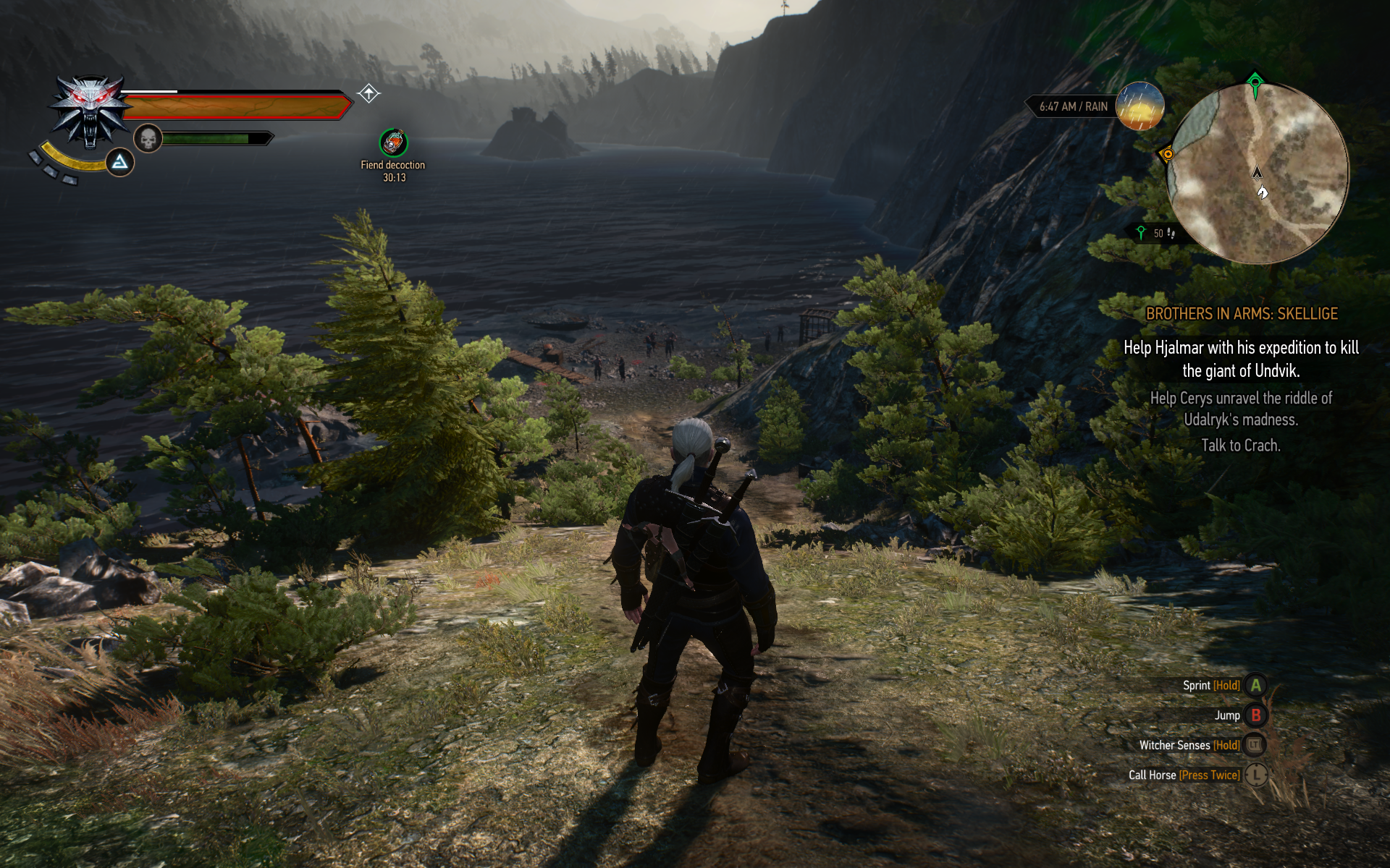 witcher3 2015-06-03 17-01-51-88