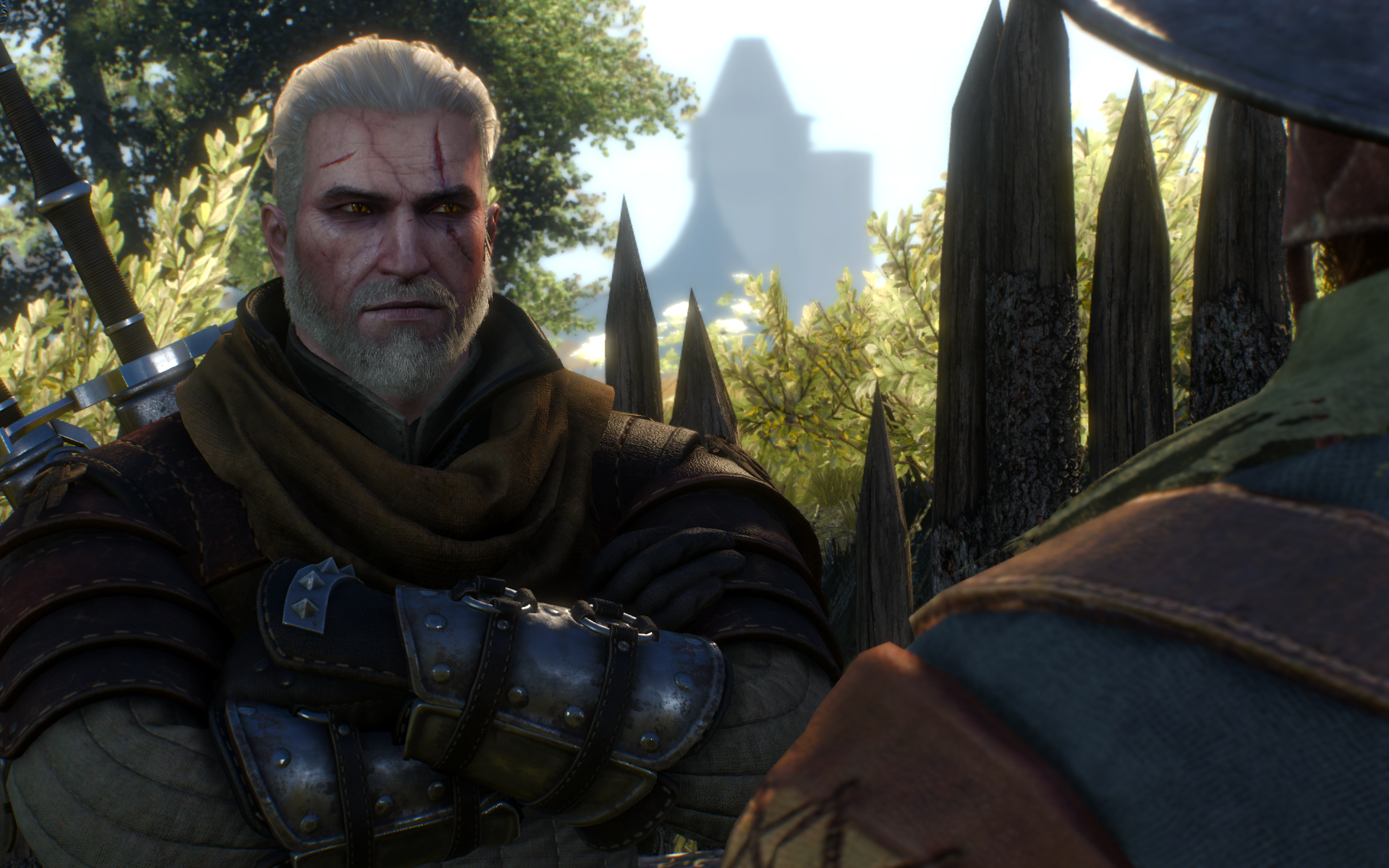 witcher3 2015-06-06 18-10-51-93