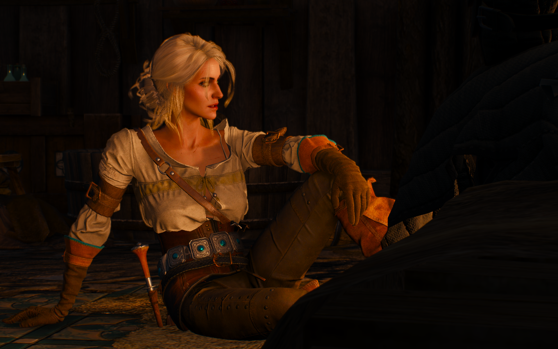 witcher3 2015-06-06 19-20-31-03