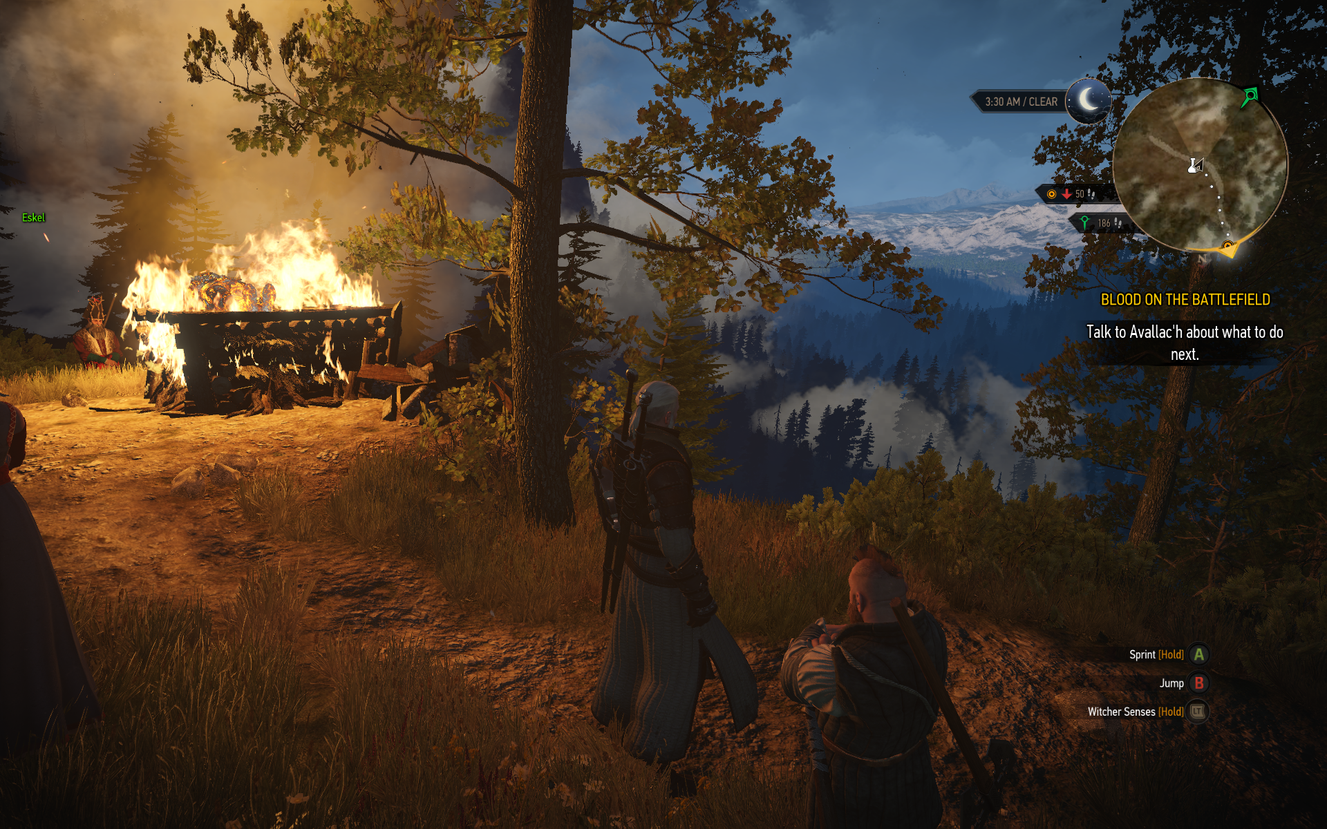 witcher3 2015-06-06 22-05-33-50