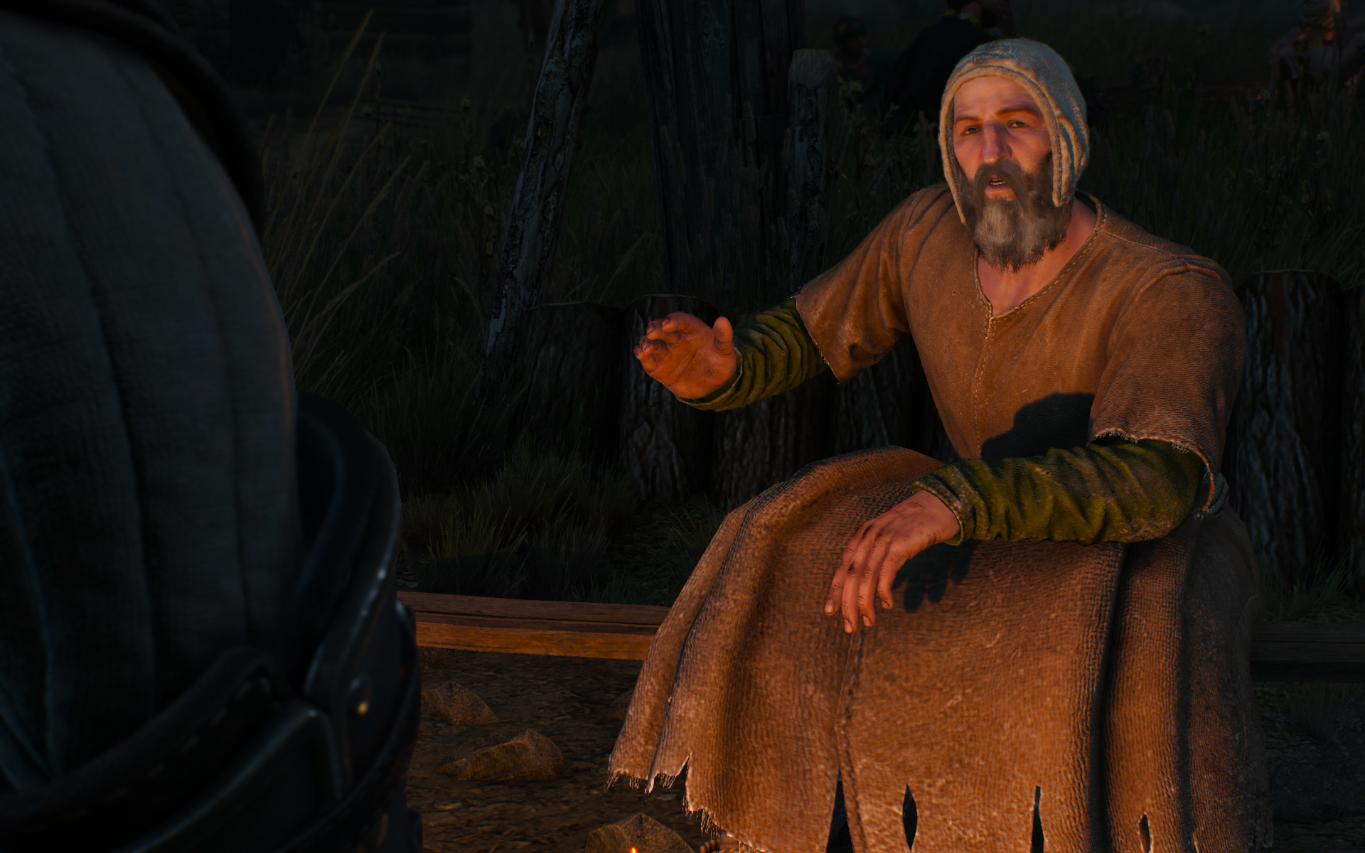 witcher3 2015-06-07 09-52-15-86