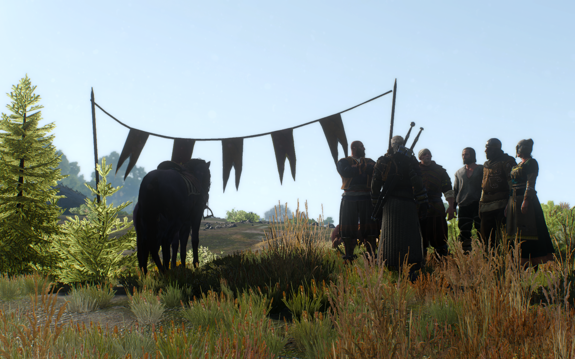 witcher3 2015-06-07 11-01-33-01