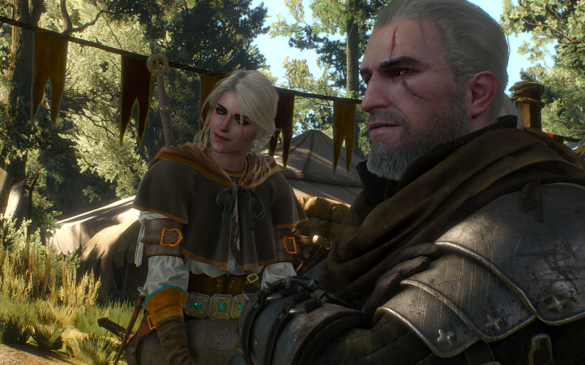witcher3 2015-06-07 12-20-42-24