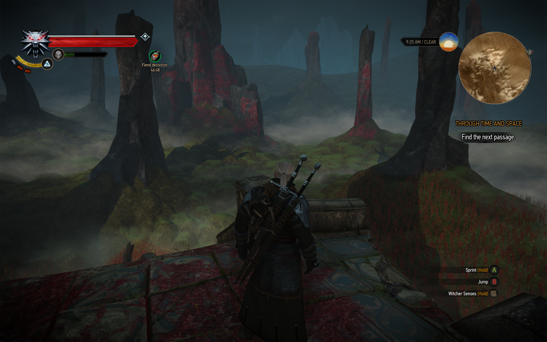 witcher3 2015-06-07 15-05-36-06