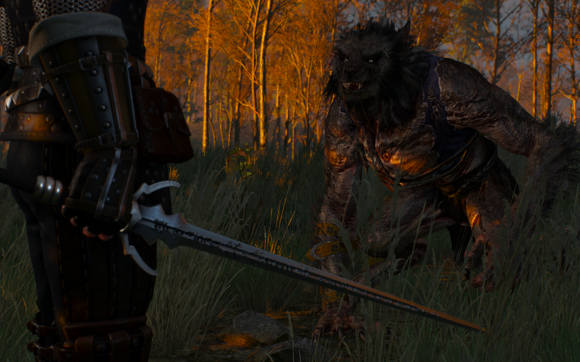 witcher3 2015-06-07 19-54-15-27