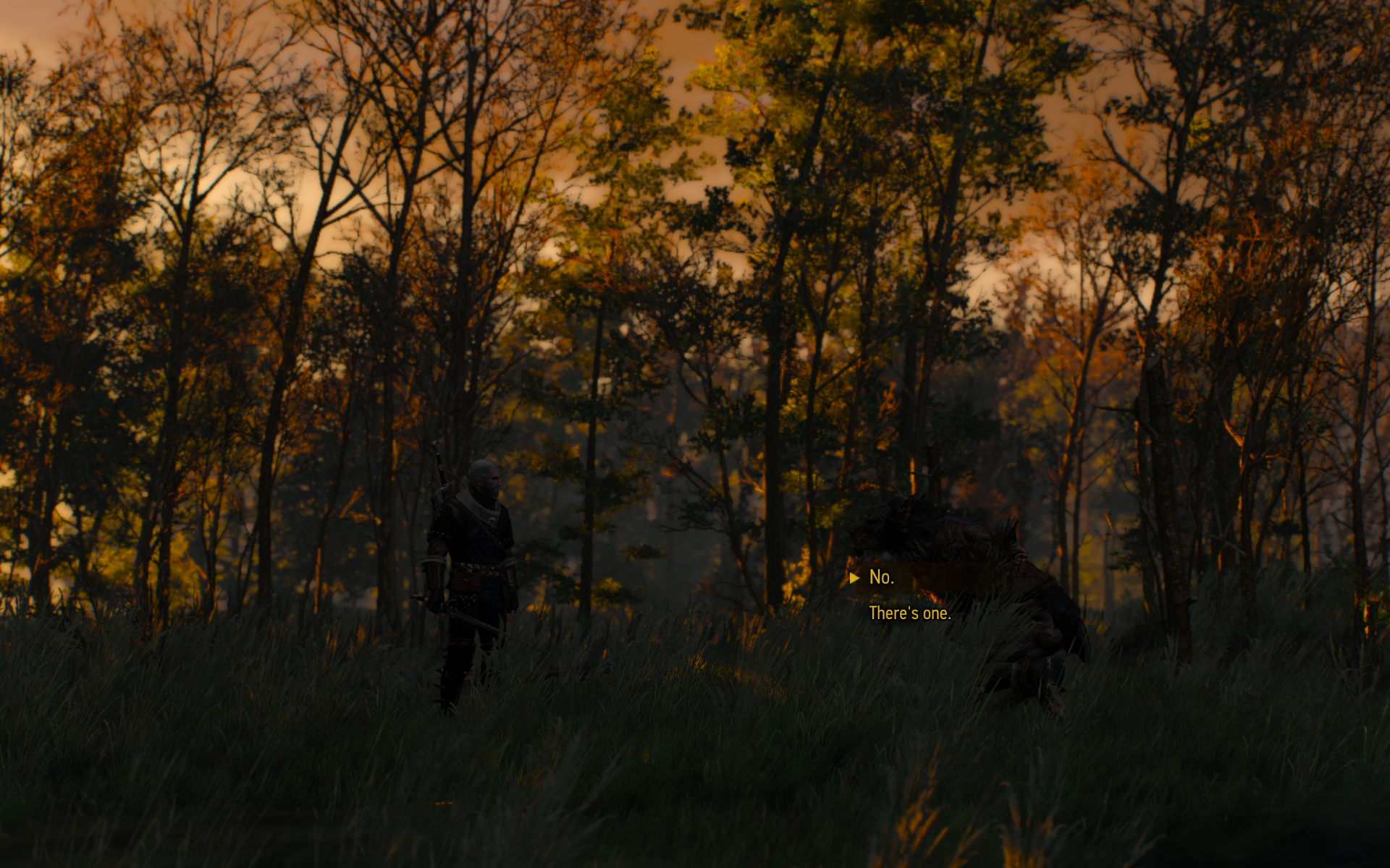 witcher3 2015-06-07 19-54-56-14